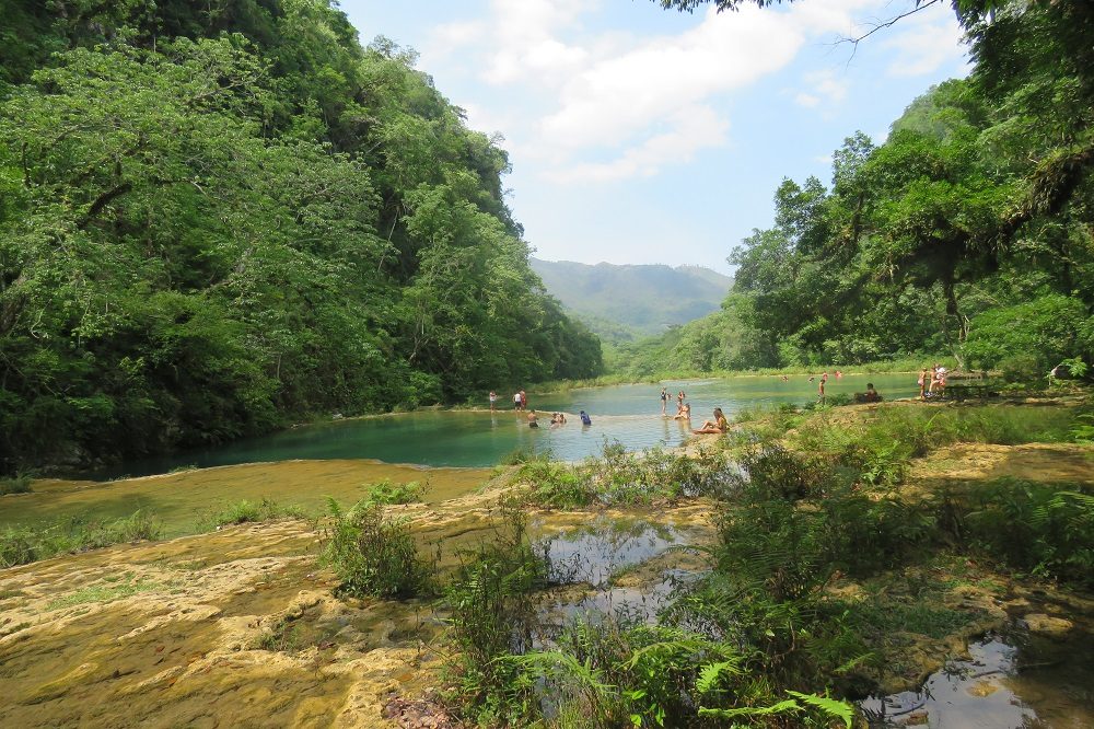 poelen bij semuc champey