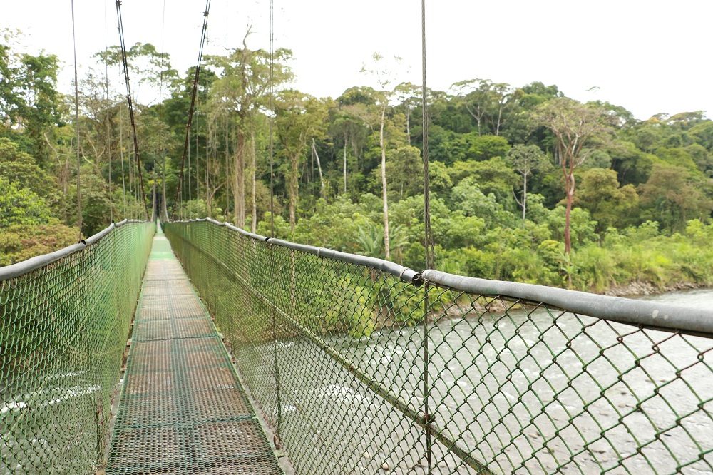 puerto viejo de sarapiqui 1