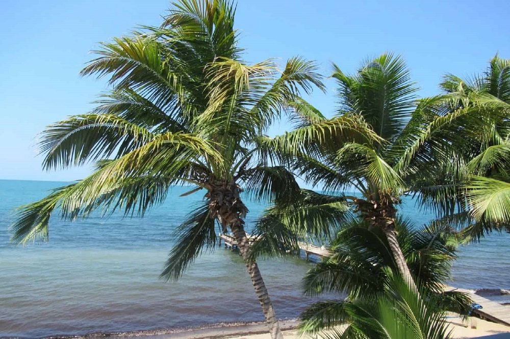 reisverslag belize hopkins 2 reisverslag belize hopkins 2