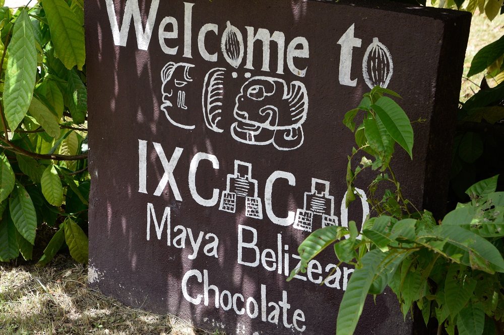 rondreis belize cacao tour rondreis belize cacao tour