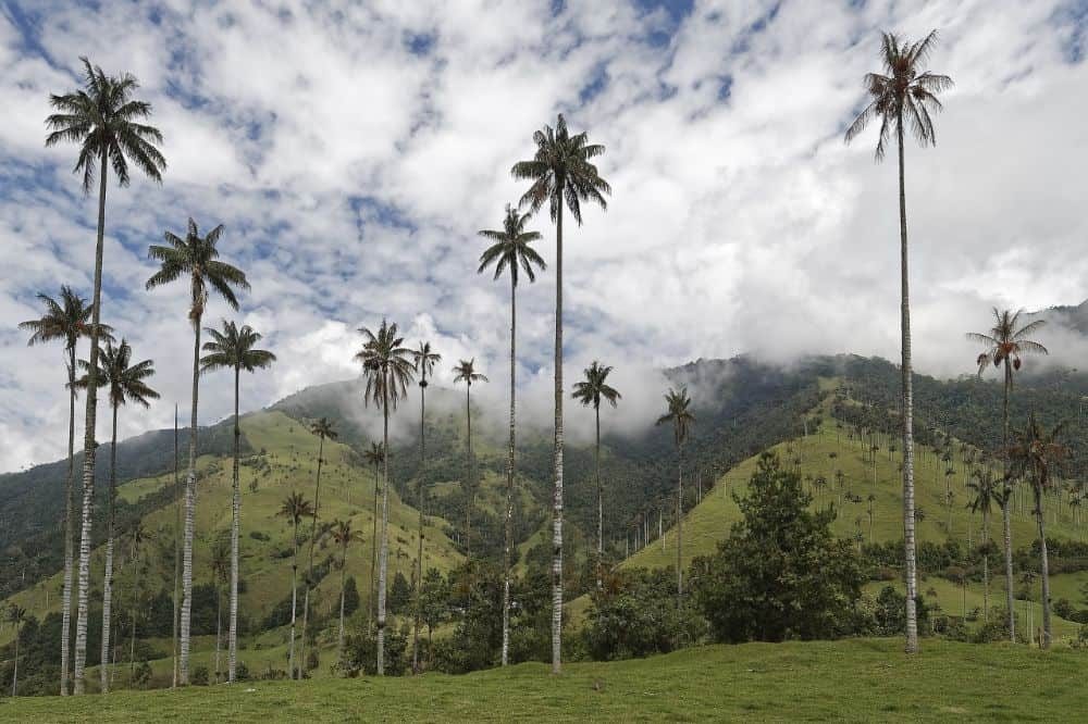 Familiereis Colombia