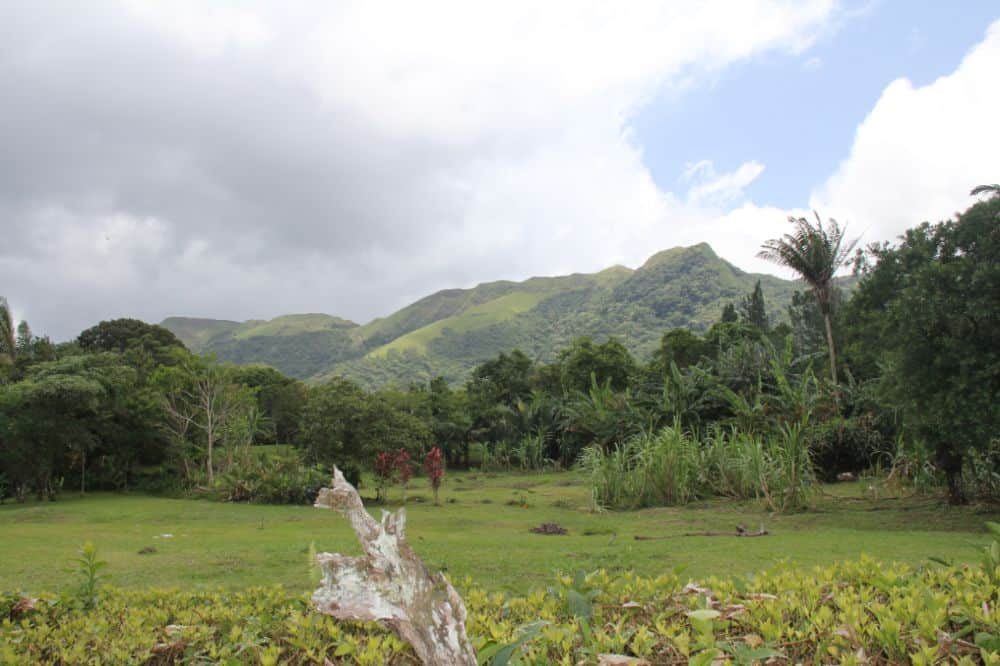 rondreis panama el valle de anton berg