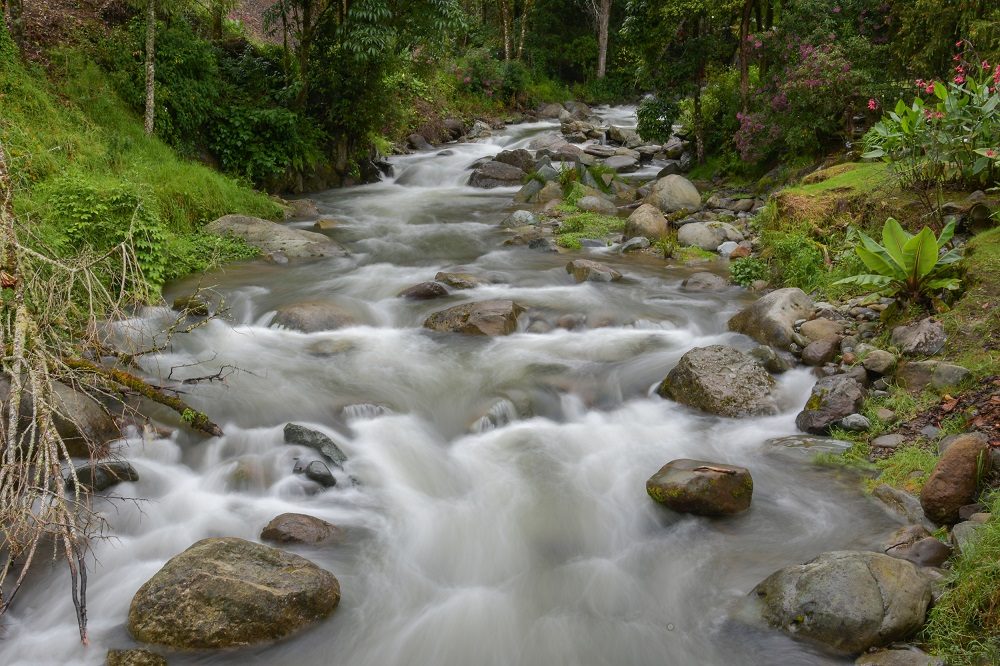 san gerardo de dota ruud san gerardo de dota ruud