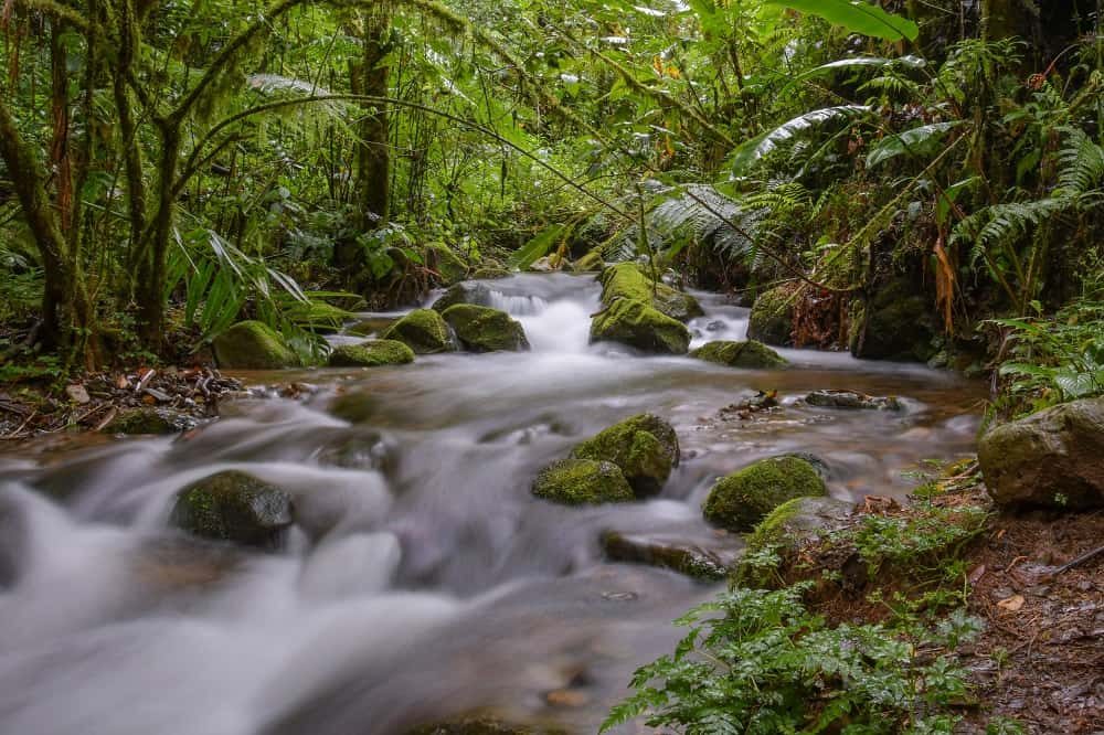 san gerardo de dota san gerardo de dota