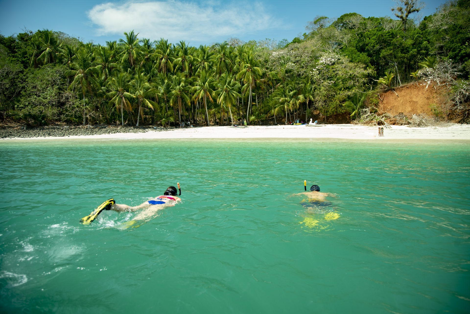 snorkeling isla palenque (foto gekregen van Lapa Rios Cayuga Collection)