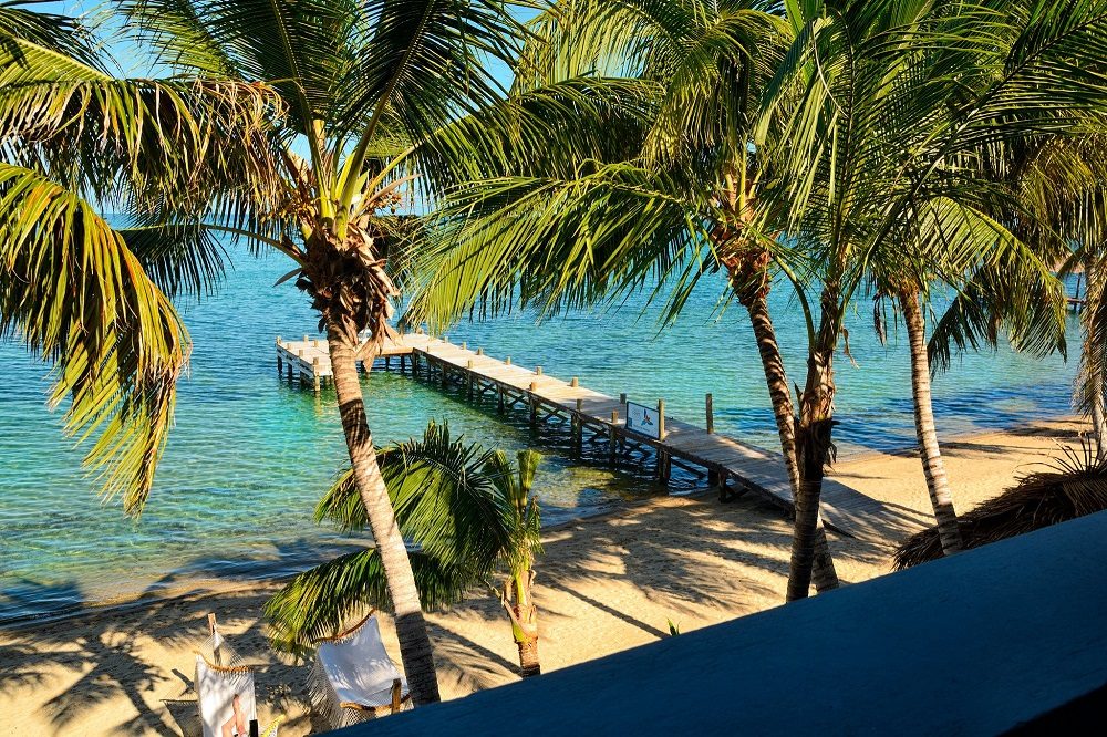 strand hopkins 2 strand hopkins 2