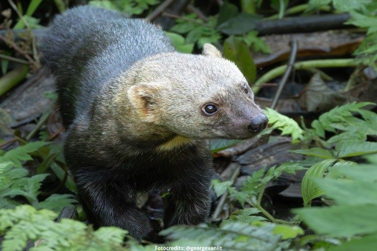 tayroa fotoreis ecuador tayroa fotoreis ecuador