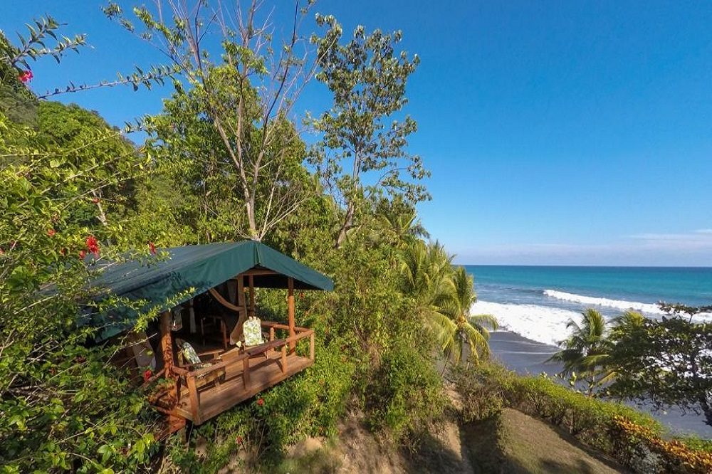 tent carate la leona tent carate la leona