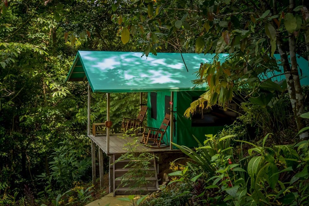 tent carate tent carate