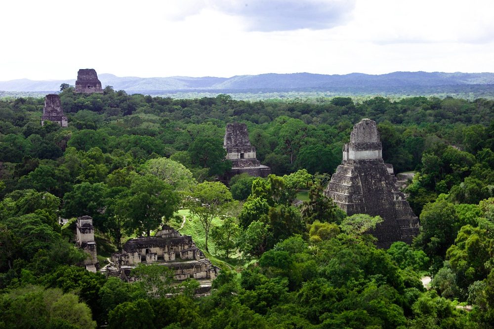 tikal guatemala reizen