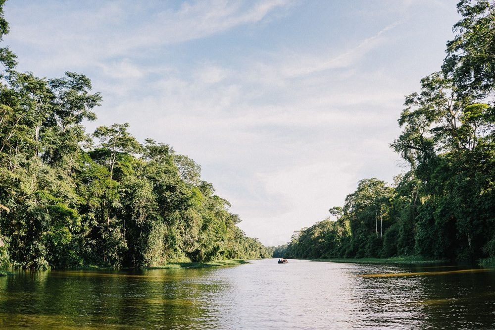 tortuguero regenwoud tortuguero regenwoud