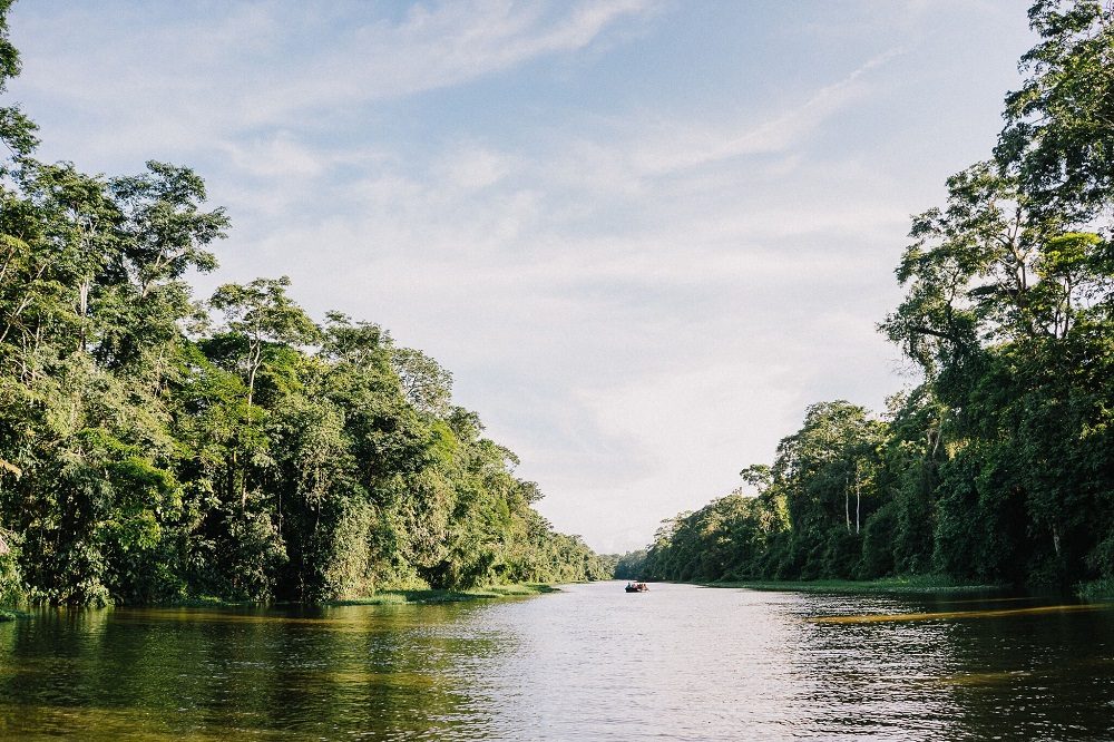 tortuguero regenwoud