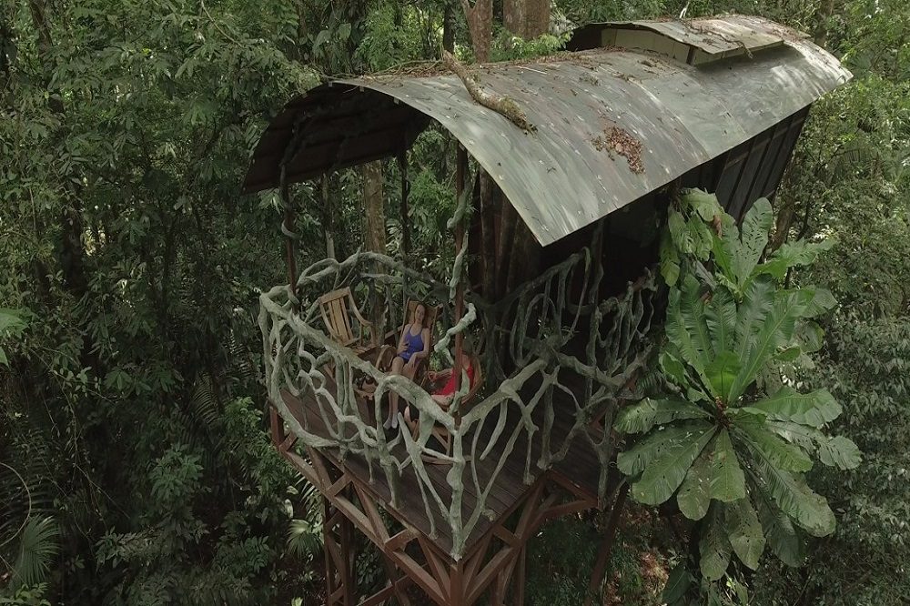 tree house