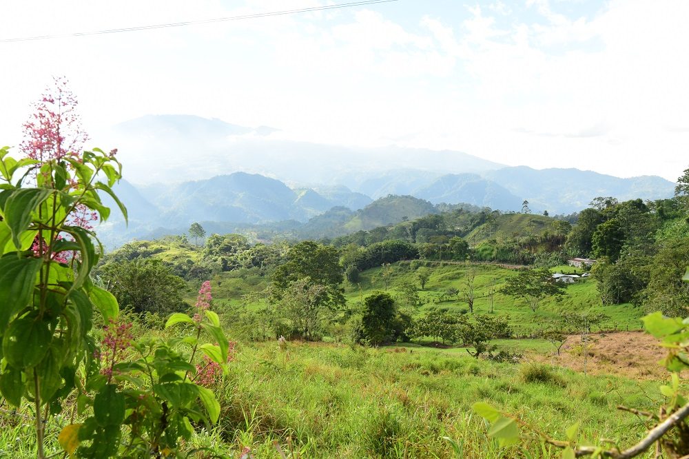 uitzicht groene natuur costa rica