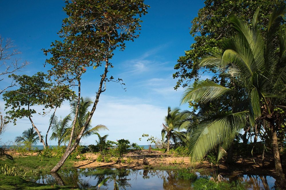uitzicht hotel playa bluff uitzicht hotel playa bluff