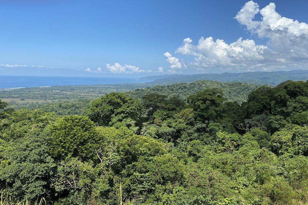 uitzicht nabij corcovado uitzicht nabij corcovado