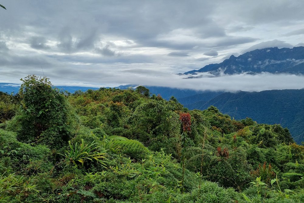 uitzicht tatama nationaal park colombia
