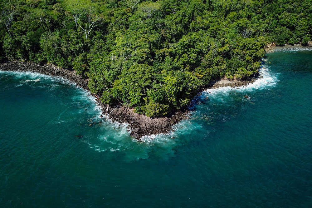 uvita punta pargo