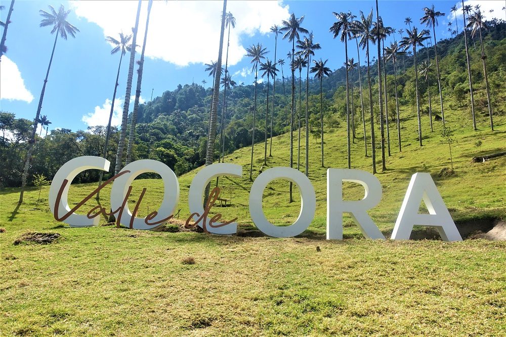 valle de cocora colombia