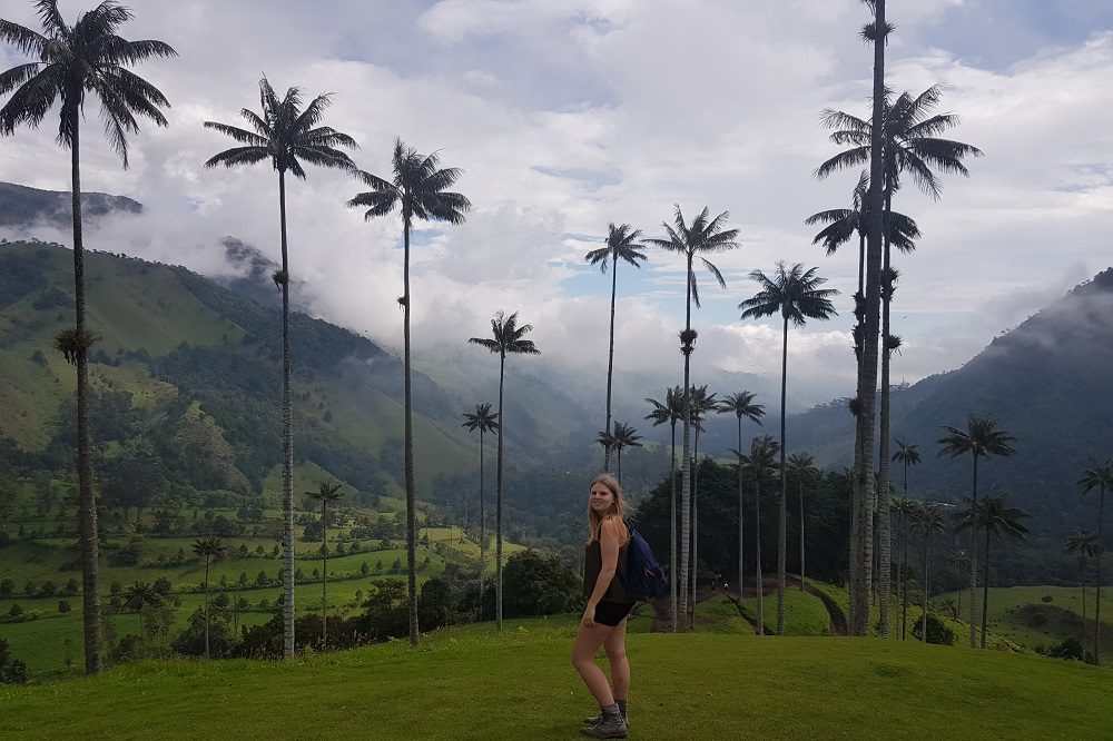 valle de cocora colombia hoogtepunten