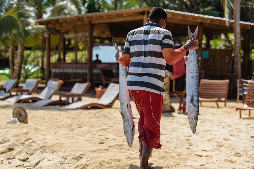 vissen corn islands vissen corn islands