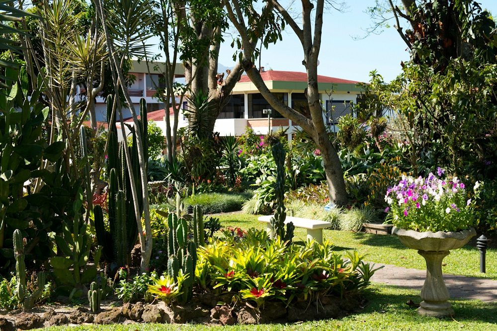 vogelreis costa rica hotel san jose