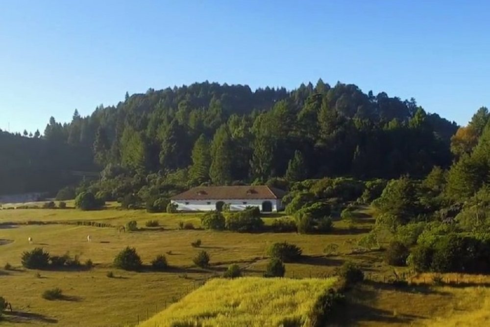 vogelreis guatemala finca unicornio