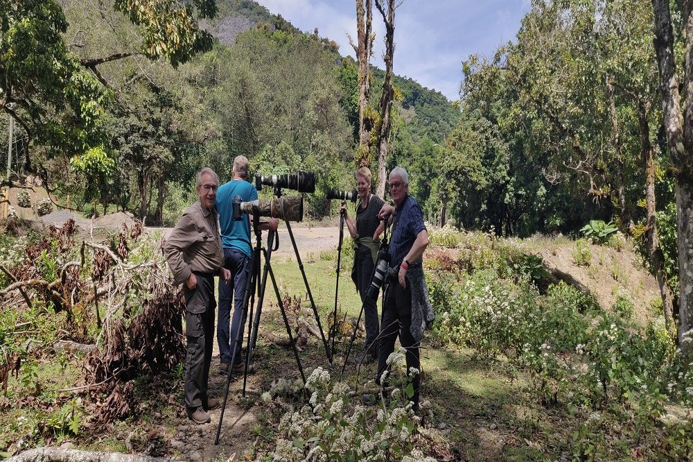 vogelreizen costa rica