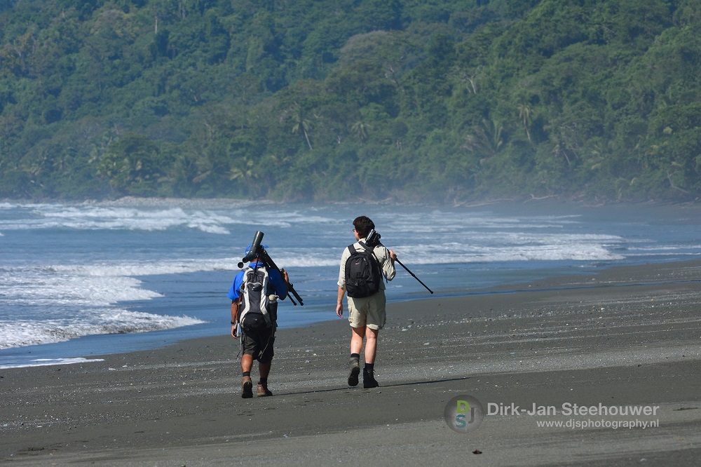 wandeling gids corcovado