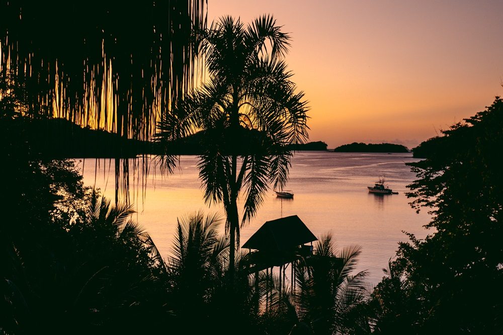 zonsondergang Sea Gull