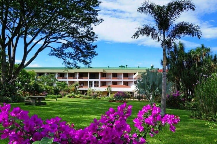 bougainvillea buiten bougainvillea buiten