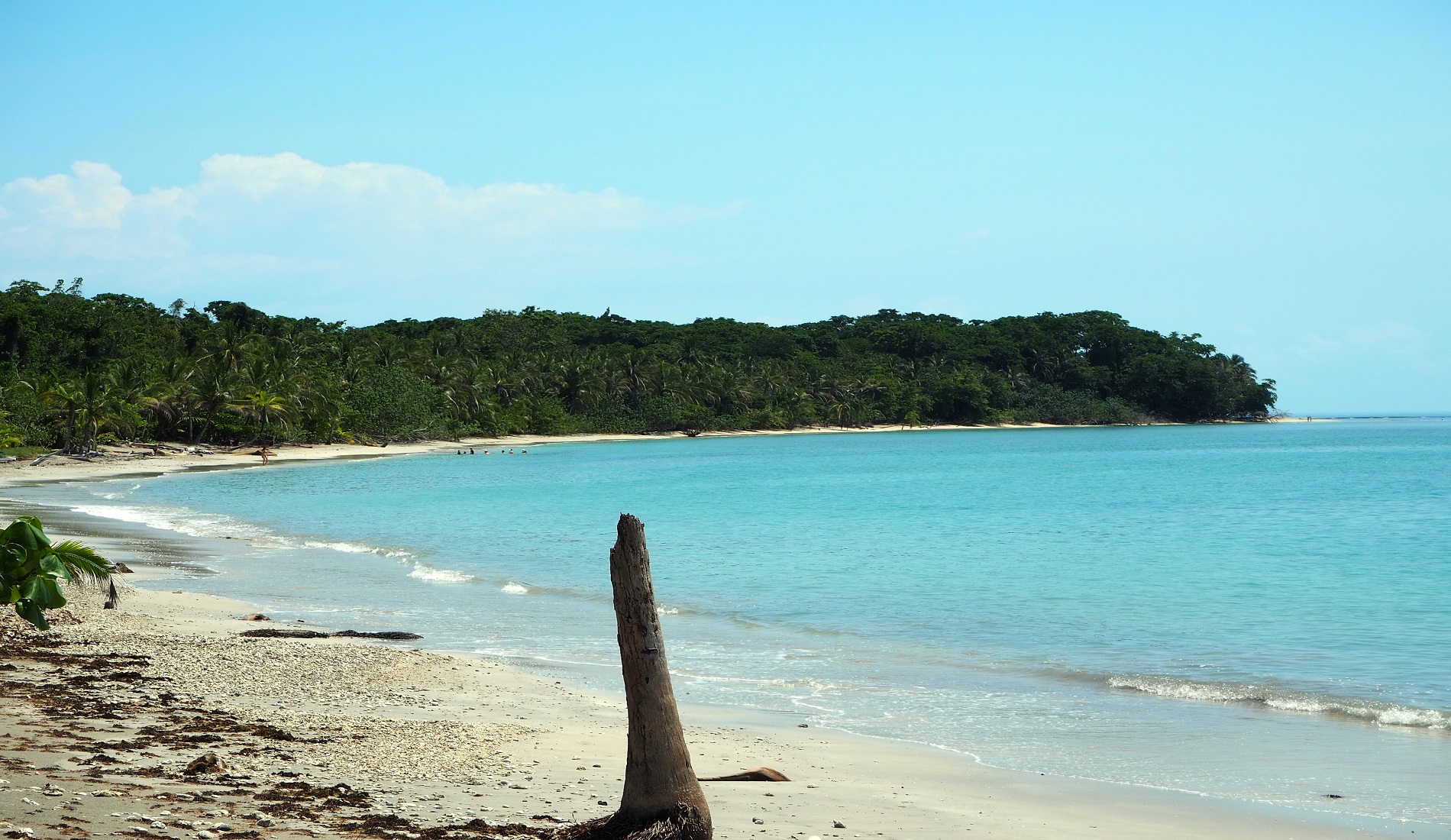cahuita beach