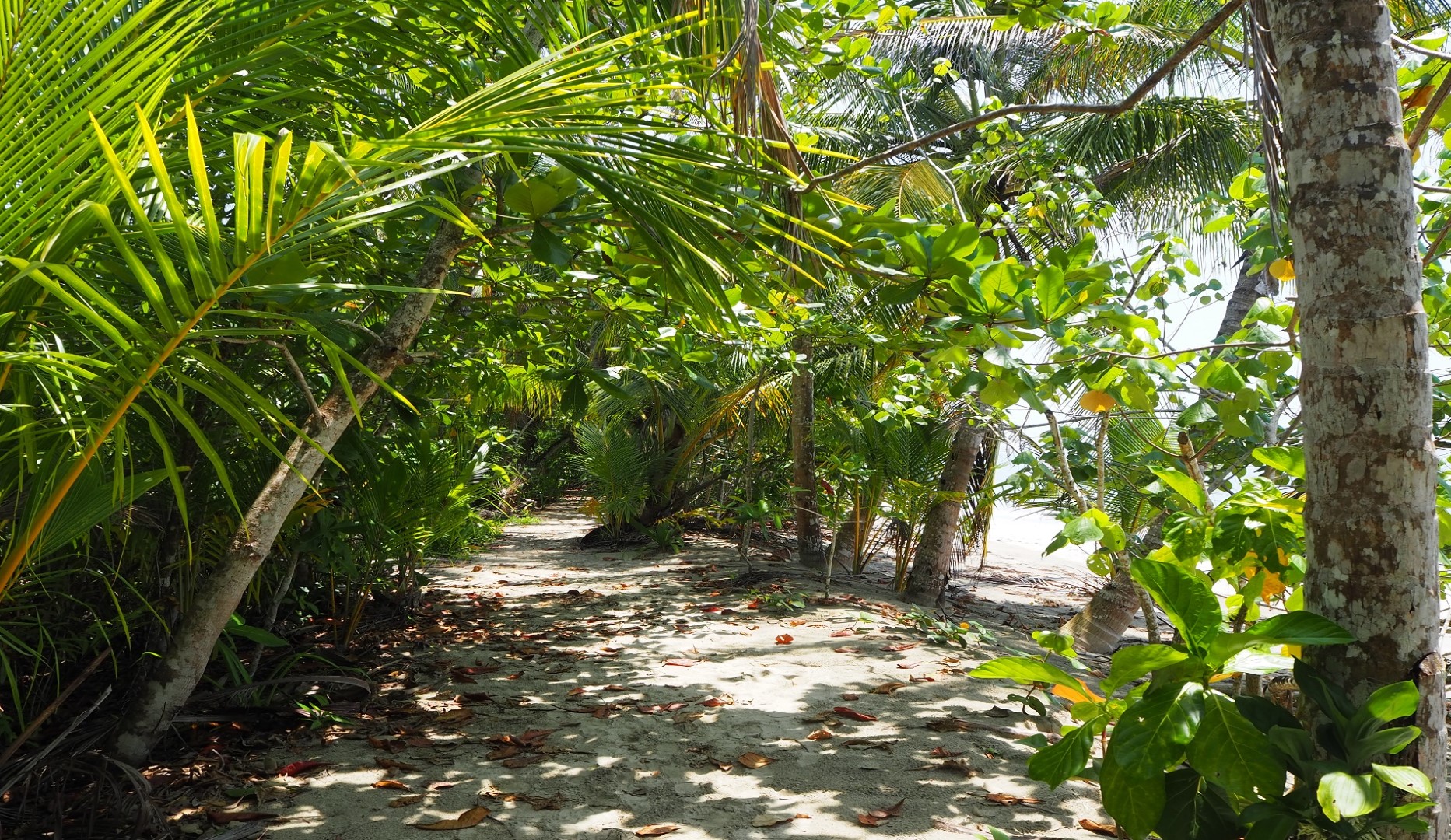 cahuita costa rica