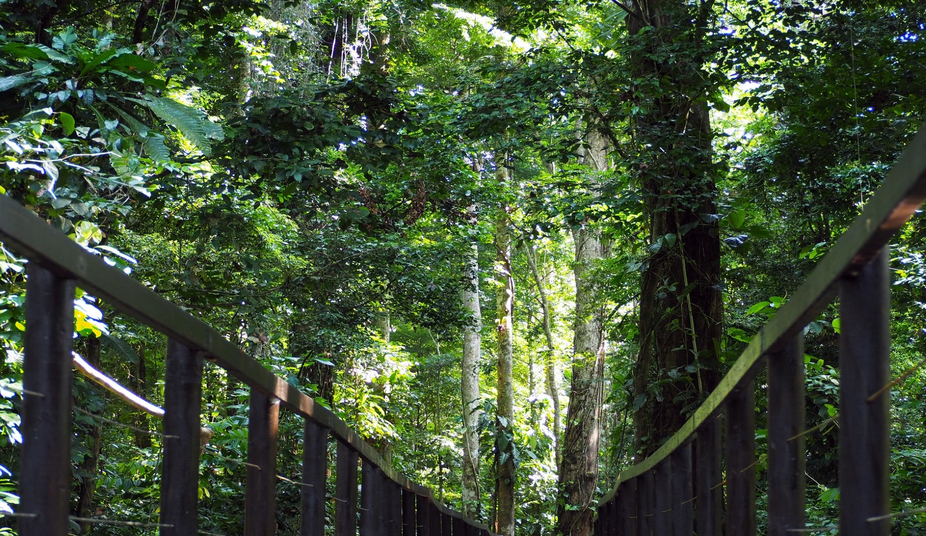 Cahuita park