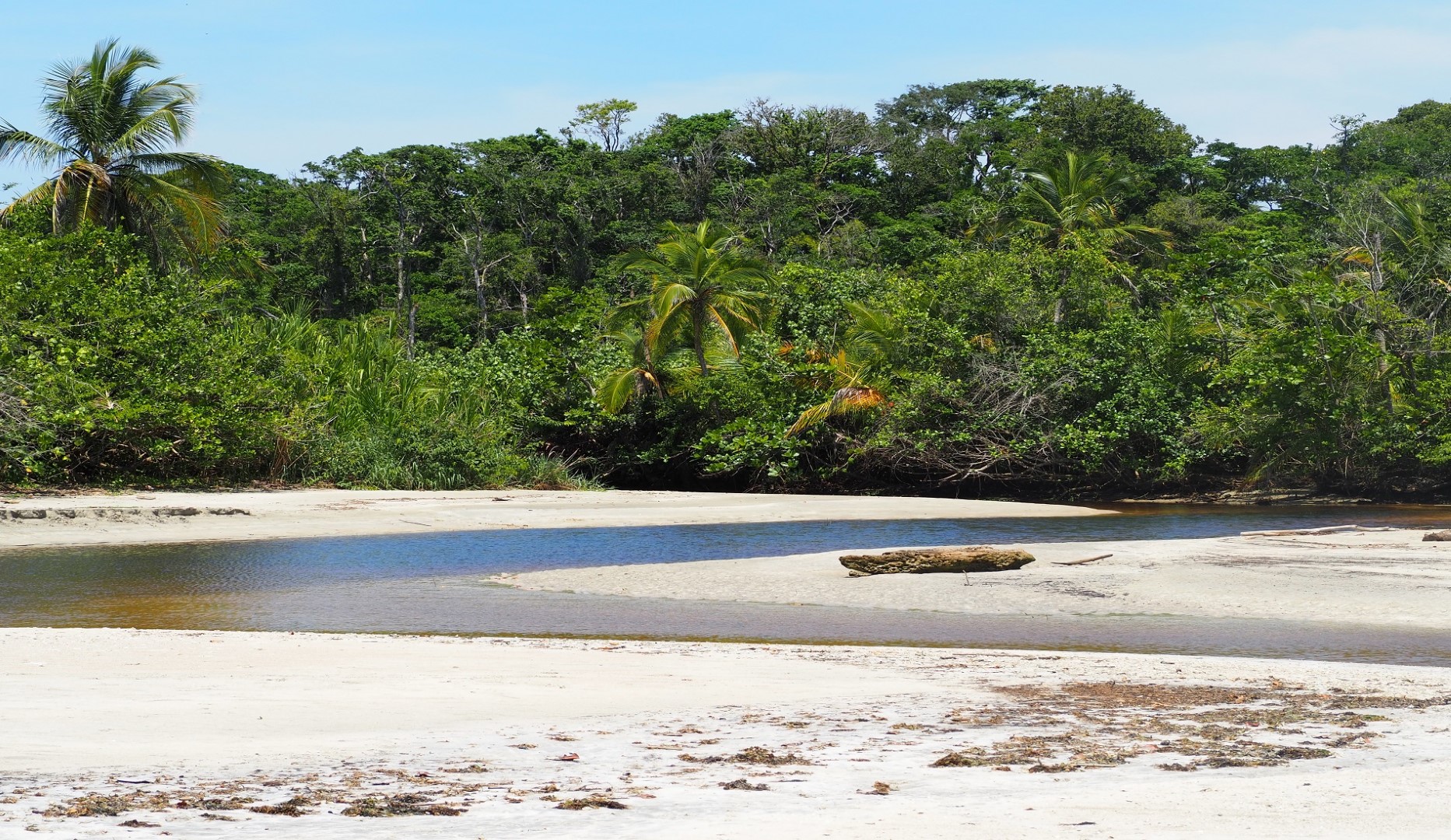 Cahuita park