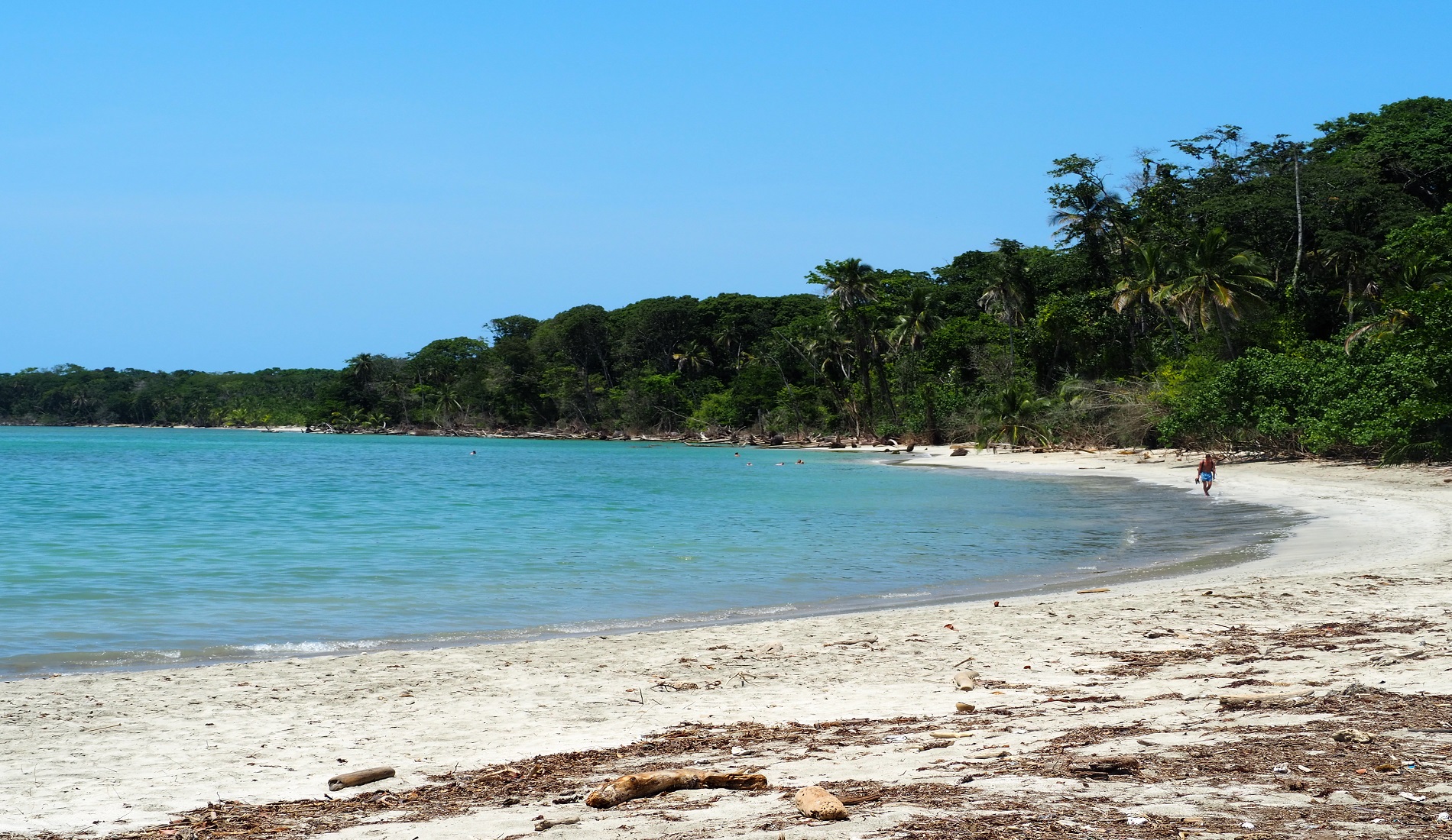 Cahuita park