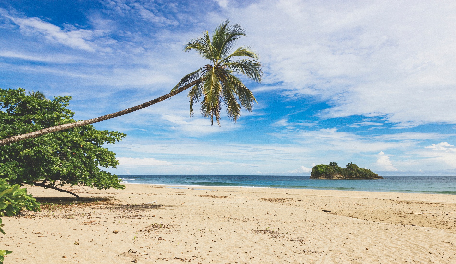 costa rica kerstvakantie palmboom strand