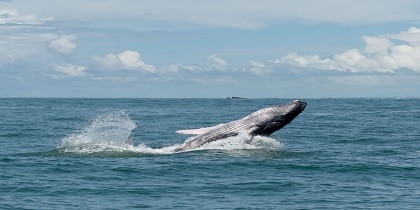 reizen naar Costa Rica