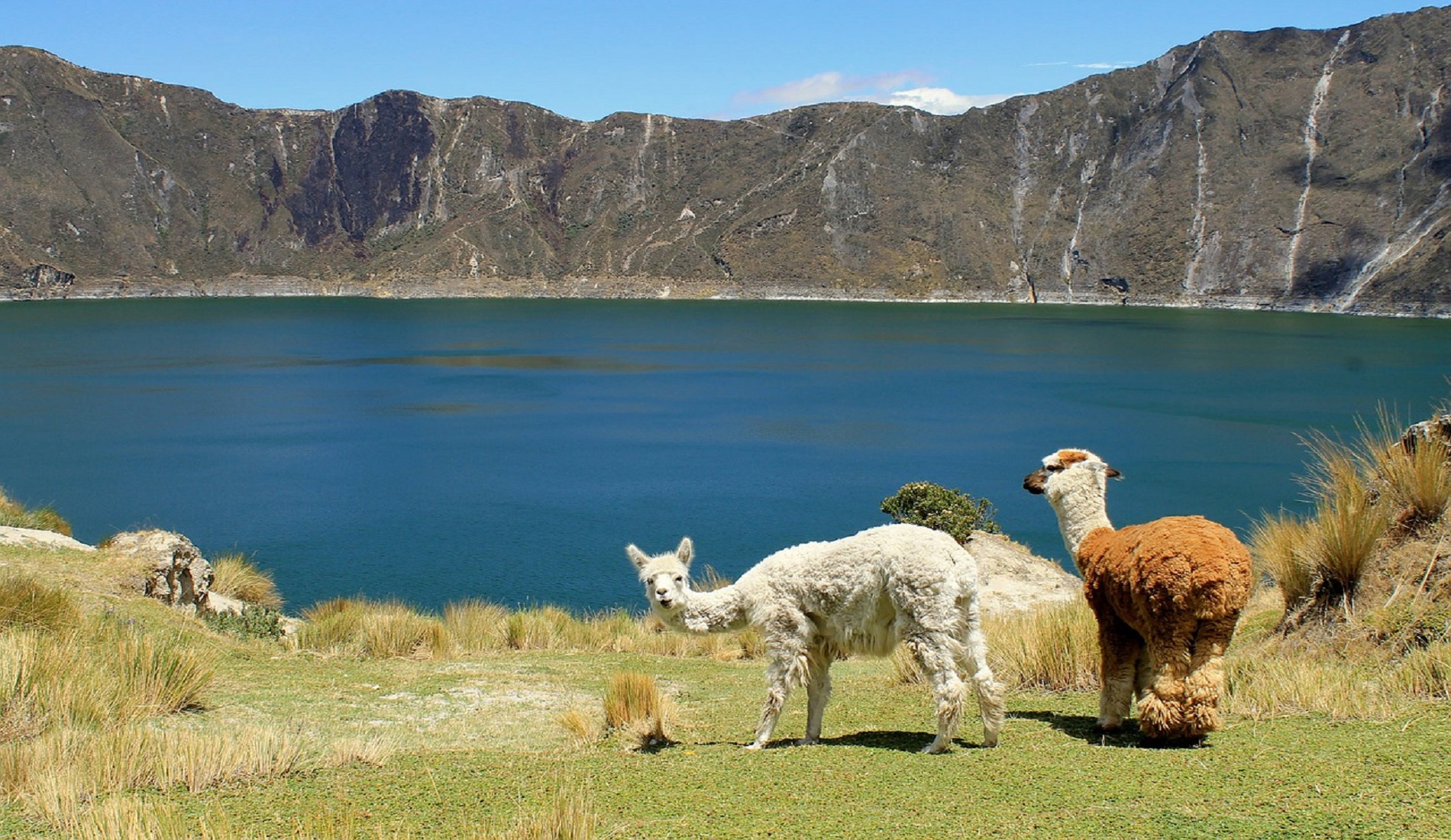 ecuador hoogtepunten quilotoa
