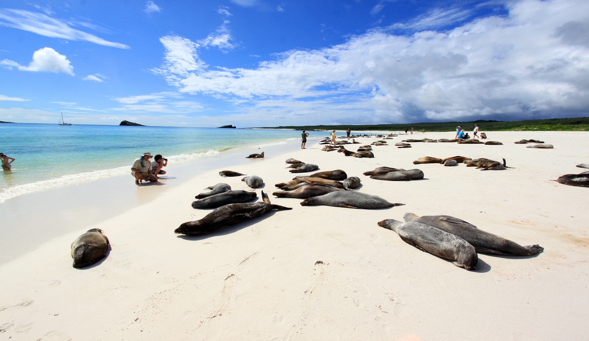 eilandhoppen galapagos eilanden espanola