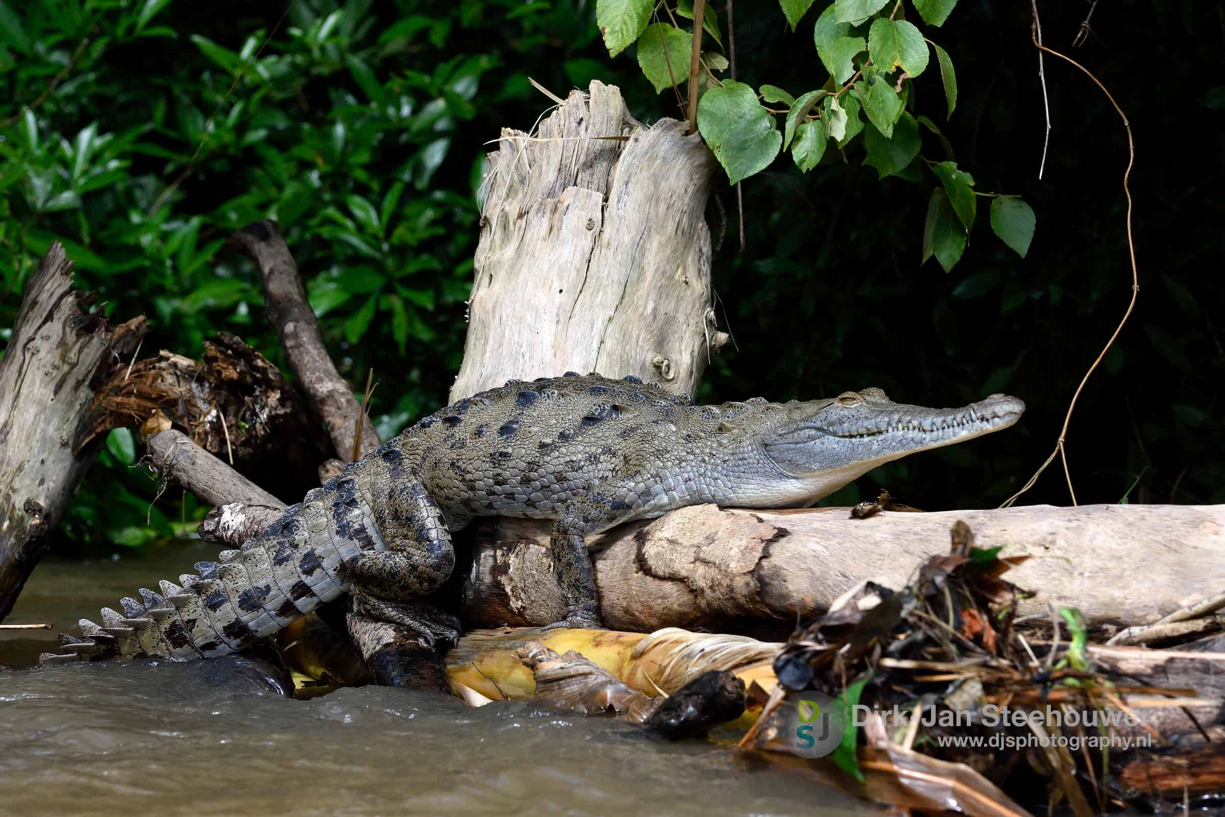 Fotoreis Costa Rica