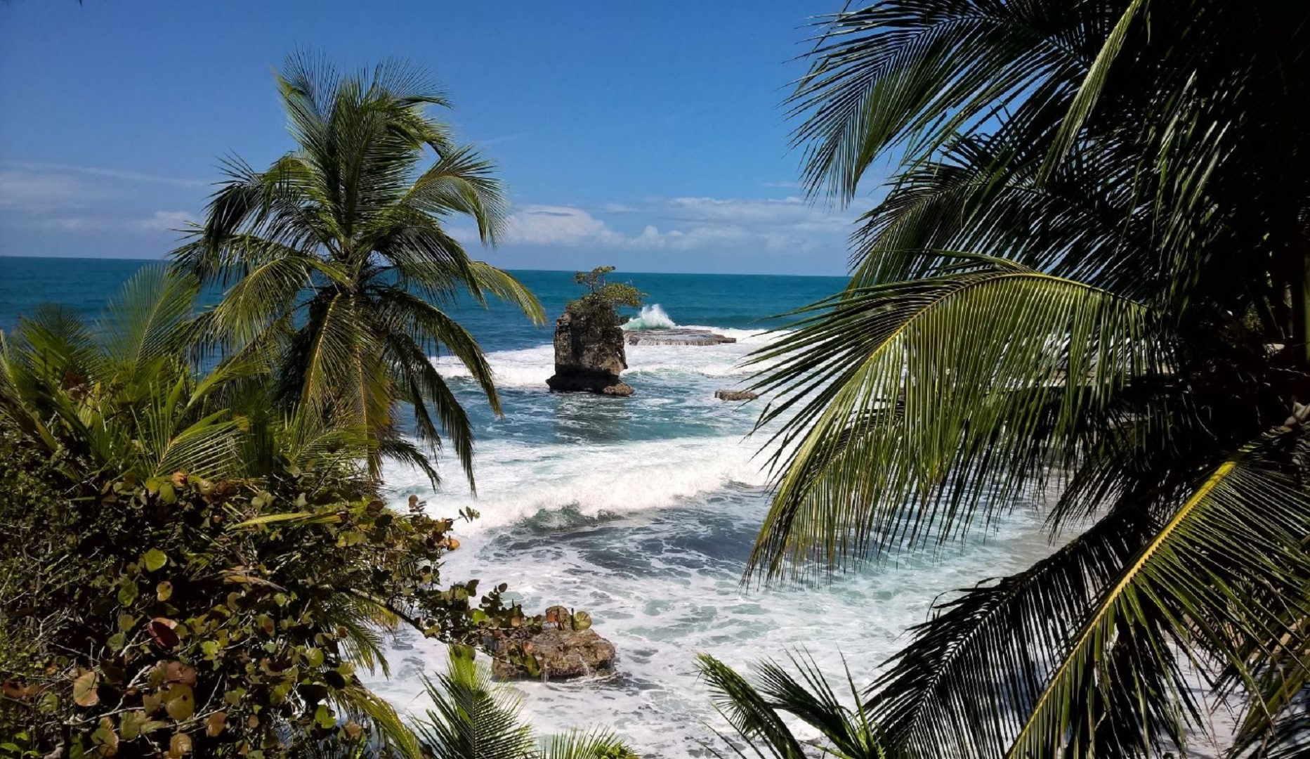 gandoca de manzanillo sea