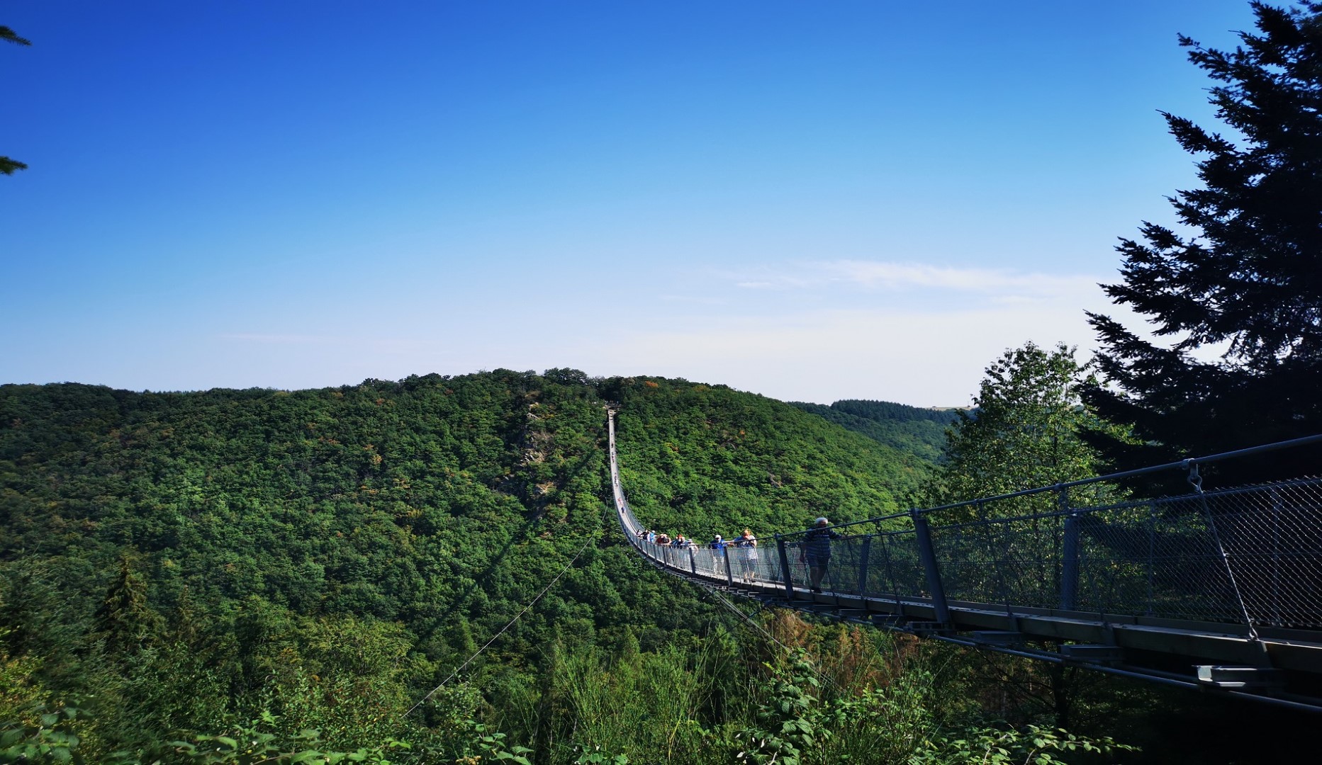 hangbrug Geierlay duitsland reizen