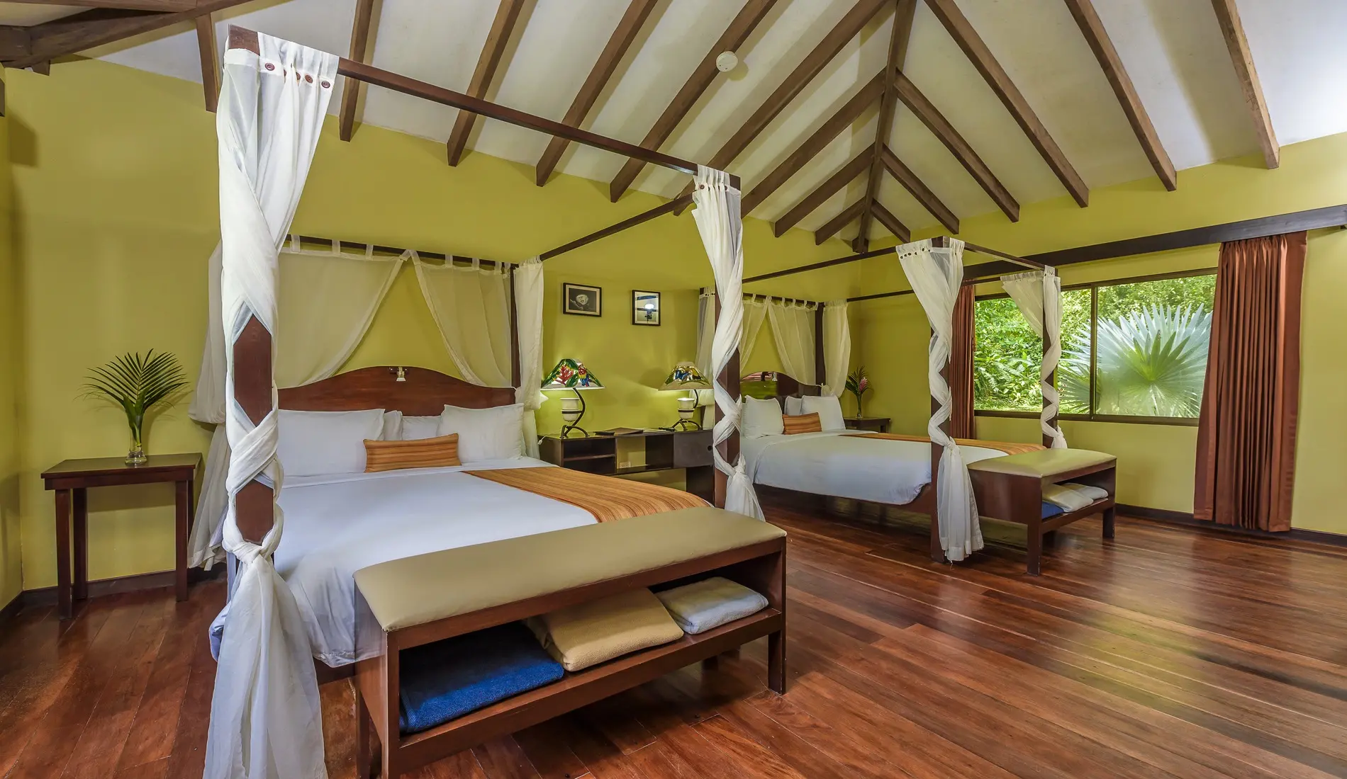 hotel tortuguero 1 jpg
