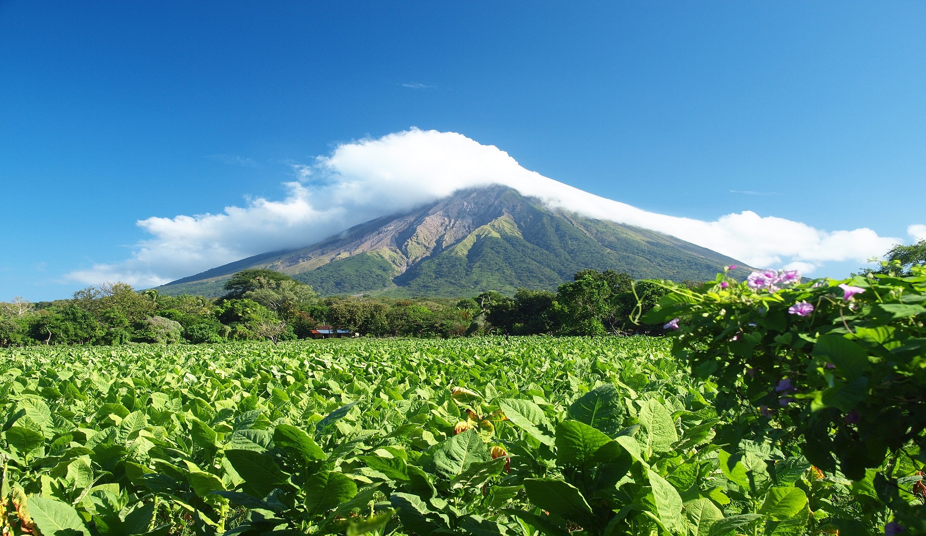 isla de ometepe