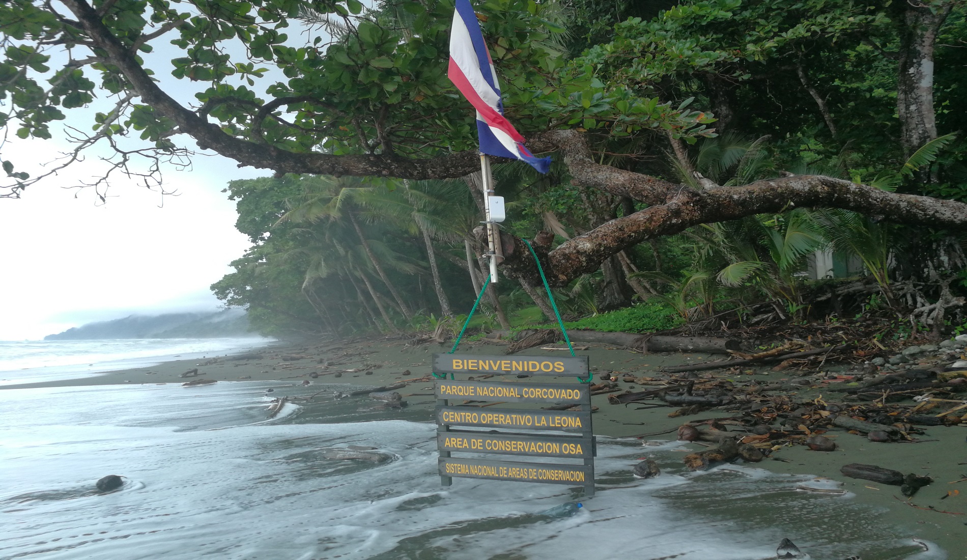 la leona corcovado