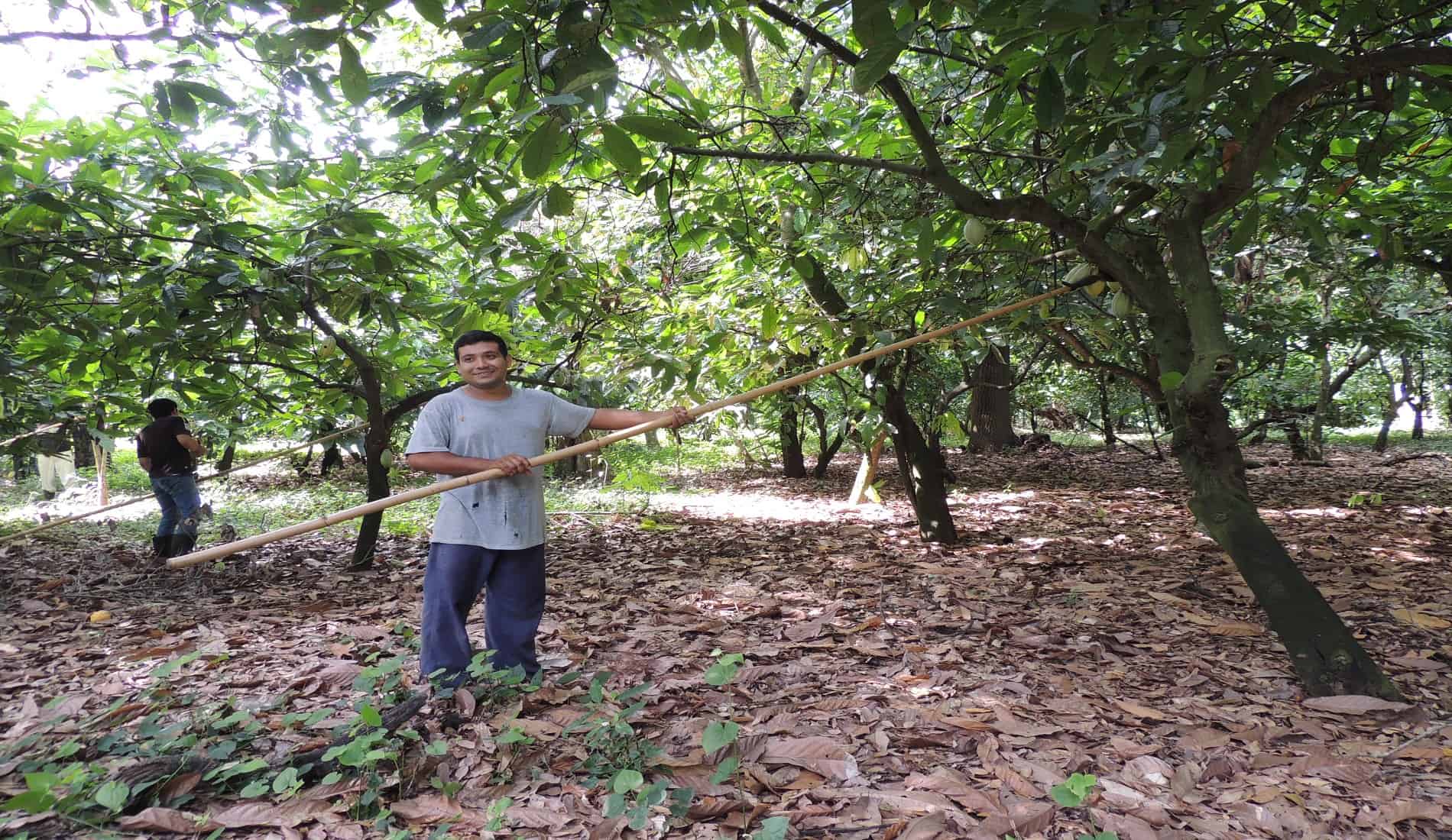 lokaal el salvador