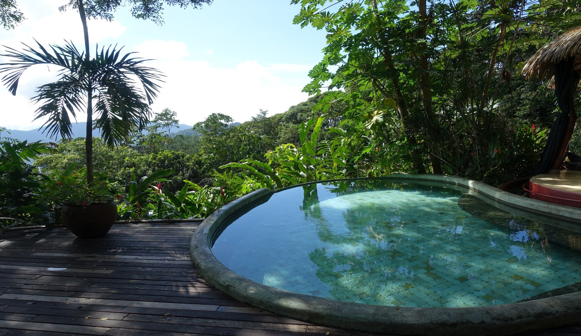 luxe reis costa rica matapalo