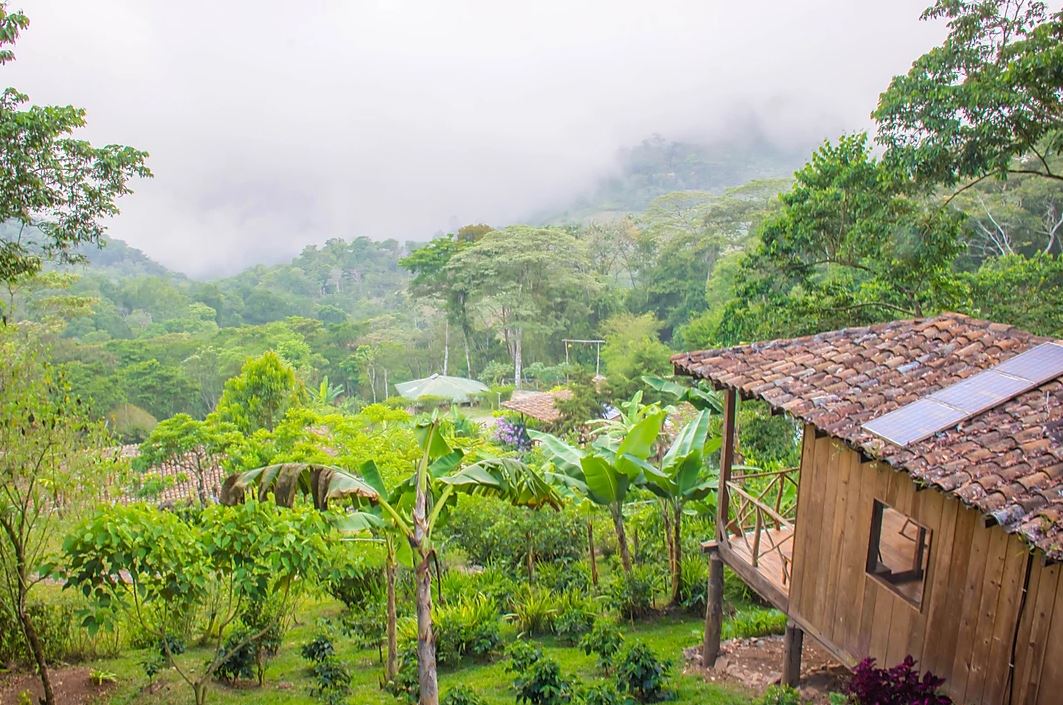 matagalpa regenwoud matagalpa regenwoud