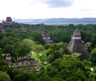Tikal